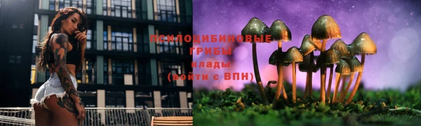 прущая мука Новодвинск