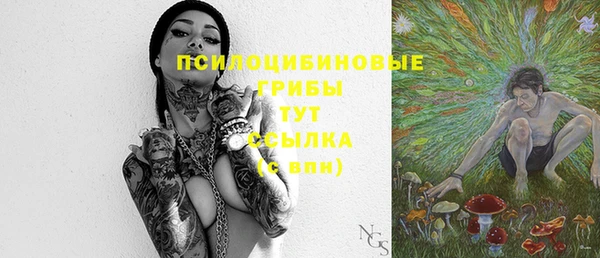 прущая мука Новодвинск
