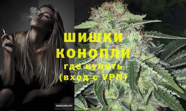 марки lsd Новозыбков