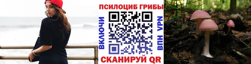 Псилоцибиновые грибы мицелий  Чехов 