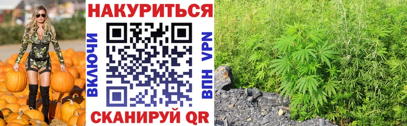Канабис конопля  где купить наркоту  Чехов 